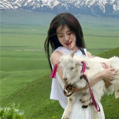 智慧风暴 海报