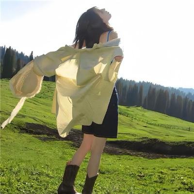 雌雄斗智 海报